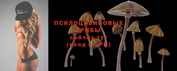 прущий лед Киренск