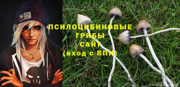 прущий лед Киренск