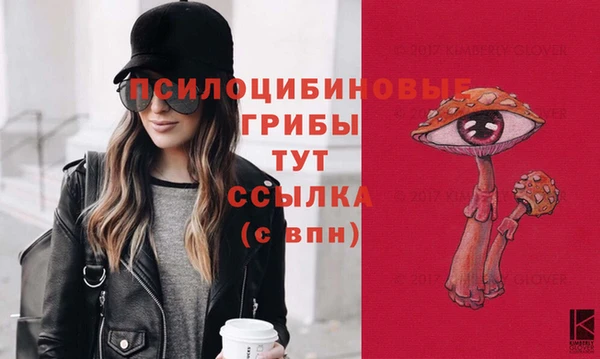 прущий лед Киренск