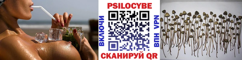 Псилоцибиновые грибы GOLDEN TEACHER  Купить  Белебей 